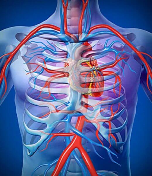 angiologia-cirurgia-vascular (13)